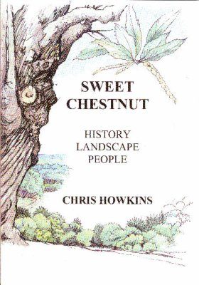 Sweet Chestnut