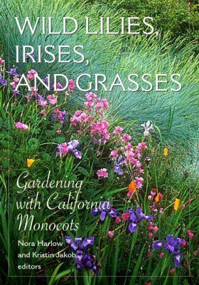 Wild Lilies, Irises and Grasses