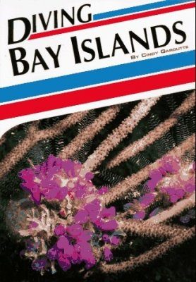 Diving Bay Islands