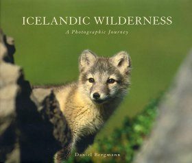 Icelandic Wilderness: A Photographic Journey