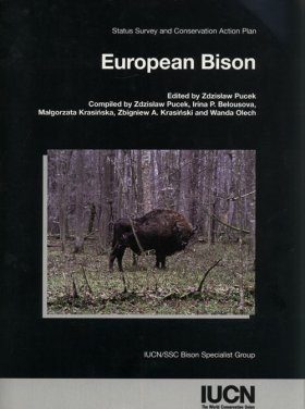 European Bison