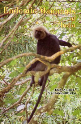 Endemic Mammals of India