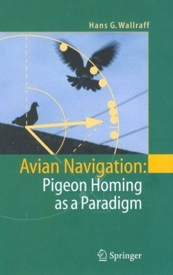 Avian Navigation: Pigeon Homing as a Paradigm