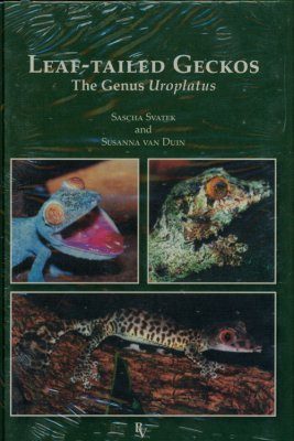Leaf-Tailed Geckos