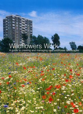 Wildflowers Work