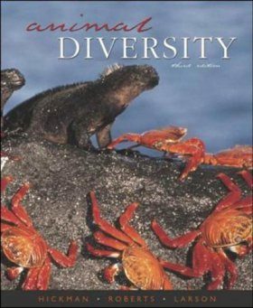 Animal Diversity