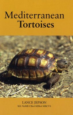 Mediterranean Tortoises