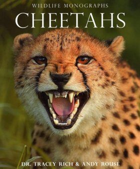 Cheetahs