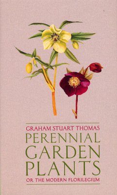 Perennial Garden Plants
