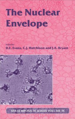The Nuclear Envelope