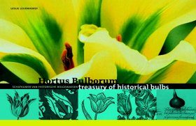 Hortus Bulborum