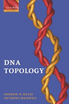 DNA Topology