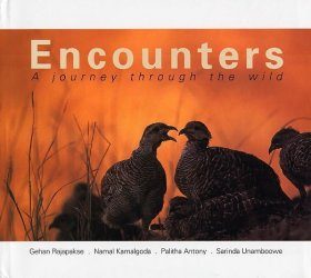 Encounters: A Journey Through The Wild