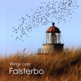Wings Over Falsterbo