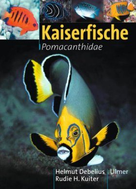 Kaiserfische: Pomacanthidae