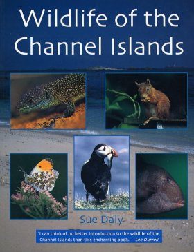 Wildlife of the Channel Islands