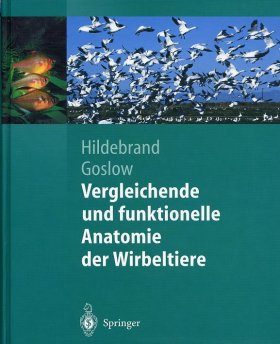 Vergleichende und Funktionelle Anatomie der Wirbeltiere