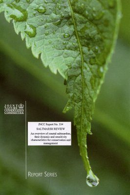 Salt Marsh Review: An overview of Coastal Saltmarshes, their Dynamic and