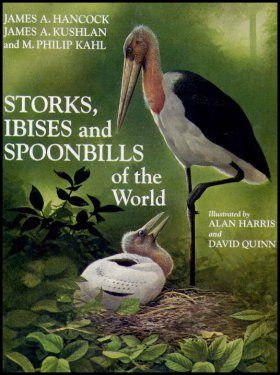 Storks, Ibises and Spoonbills of the World