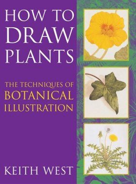 How to Draw Plants