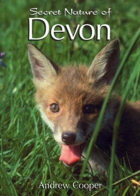 Secret Nature of Devon