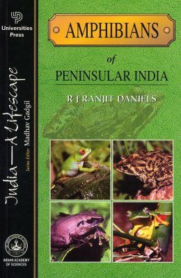 Amphibians of Peninsular India