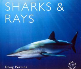 Sharks and Rays