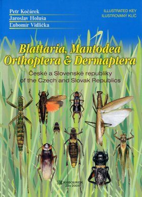 Blattaria, Mantodea, Orthoptera and Dermaptera of the Czech and Slovak epublics - Illustrated Key