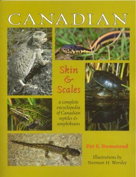 Canadian Skin and Scales