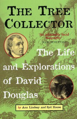 The Tree Collector