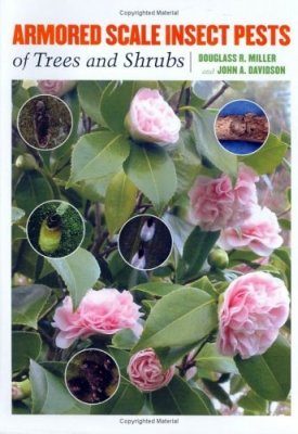 Armored Scale Insect Pests of Trees and Shrubs