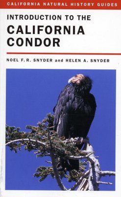 Introduction to the California Condor