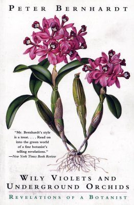 Wily Violets and Underground Orchids