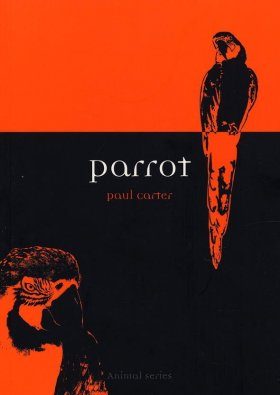 Parrot