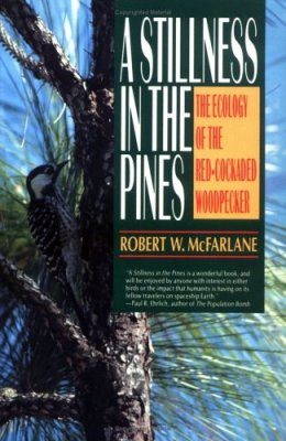 A Stillness in the Pines