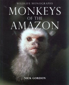 Monkeys of the Amazon