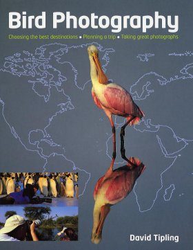 Bird Photography: Choosing the Best Destinations, Planning a Trip, Taking Great Photographs