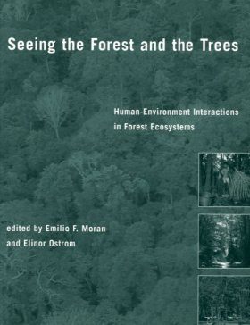 Seeing the Forest and the Trees