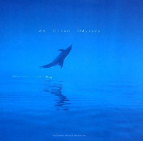 An Ocean Odyssey