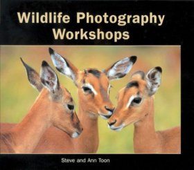 Wildlife Photography Workshops
