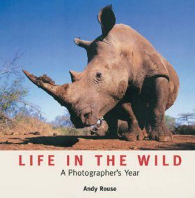 Life in the Wild