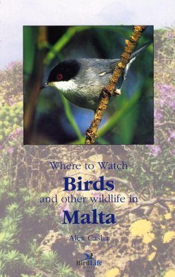 Where to Watch Birds and Other Wildlife in Malta