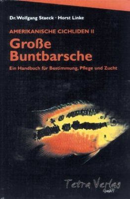 Amerikanische Cichliden 2: Grosse Buntbarsche