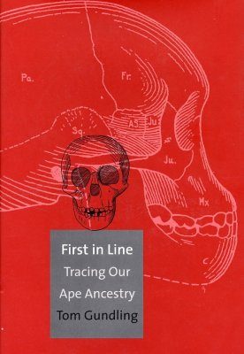 First in Line: Tracing Our Ape Ancestry