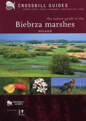 Crossbill Guide: Biebrza Marshes, Poland