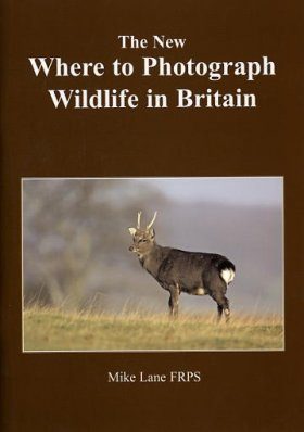 The New Where to Photograph Wildlife in Britain