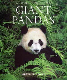 Giant Pandas