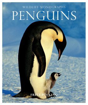 Penguins