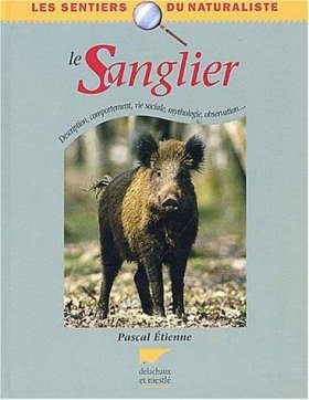 Le Sanglier