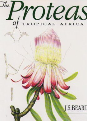 The Proteas of Tropical Africa